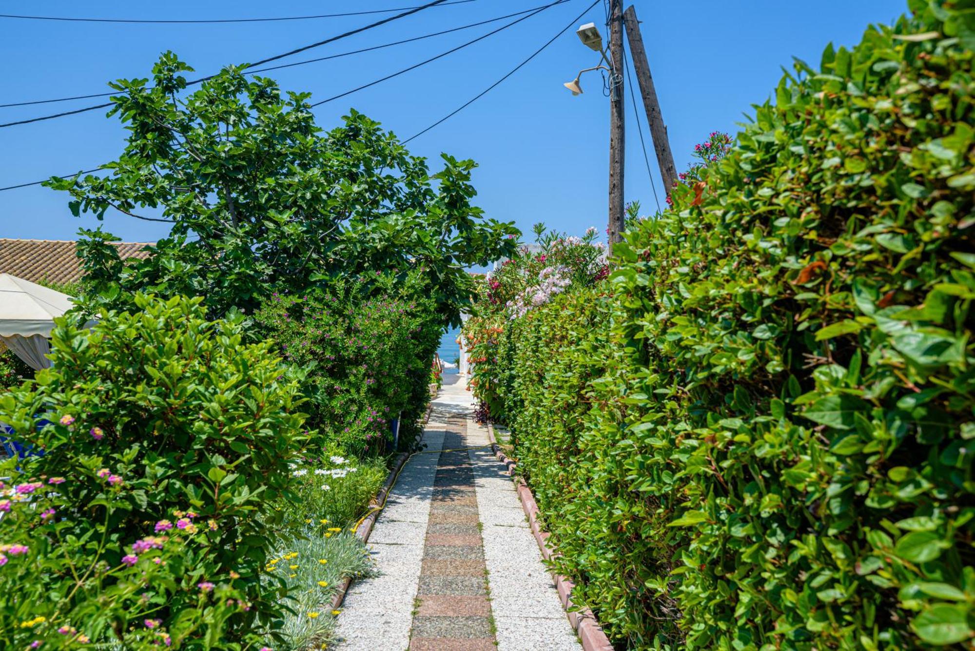 Elena'S Seaside Apartments & Studios Агиос-Гордиос Экстерьер фото